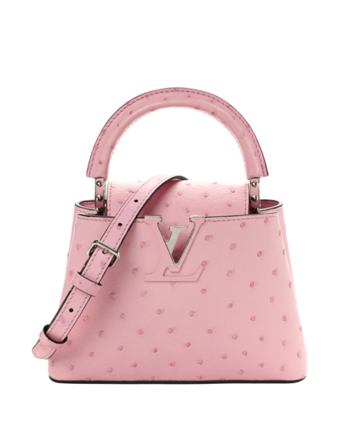 Ostrich Capucines Mini Pink 20cm
