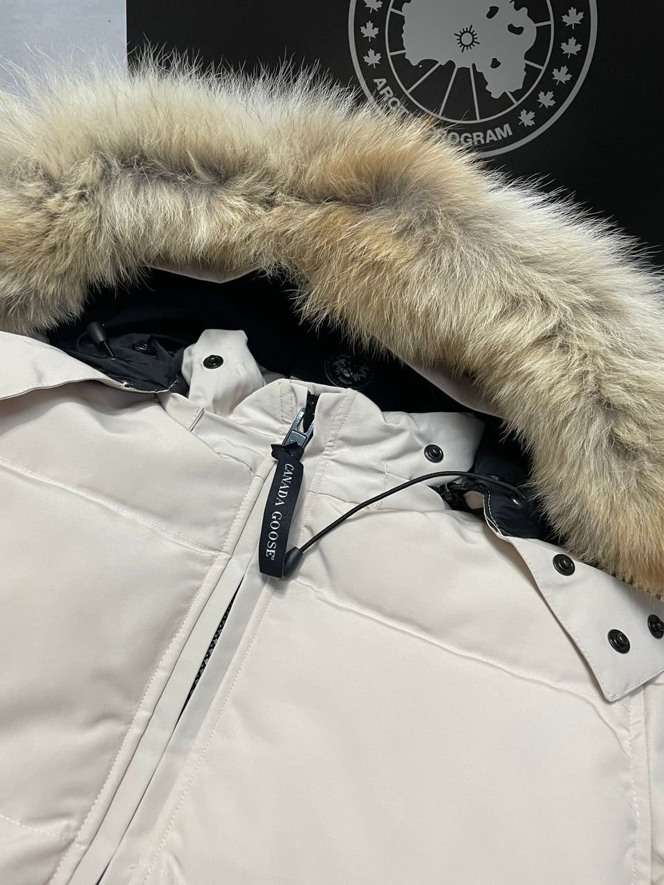 Chelsea Beige – Bild 5