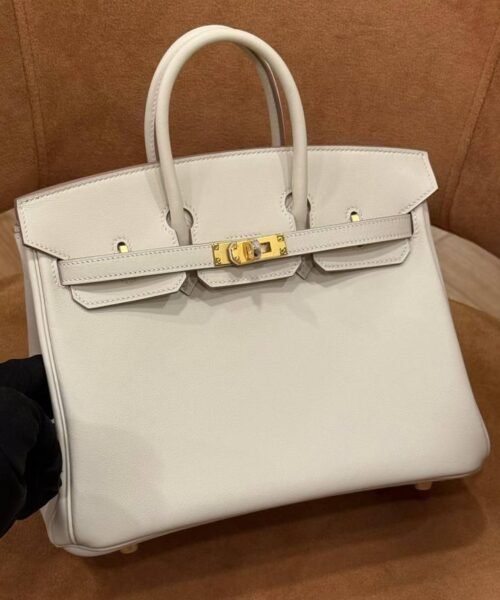 Alternative view of BIRKIN 25 SWIFT