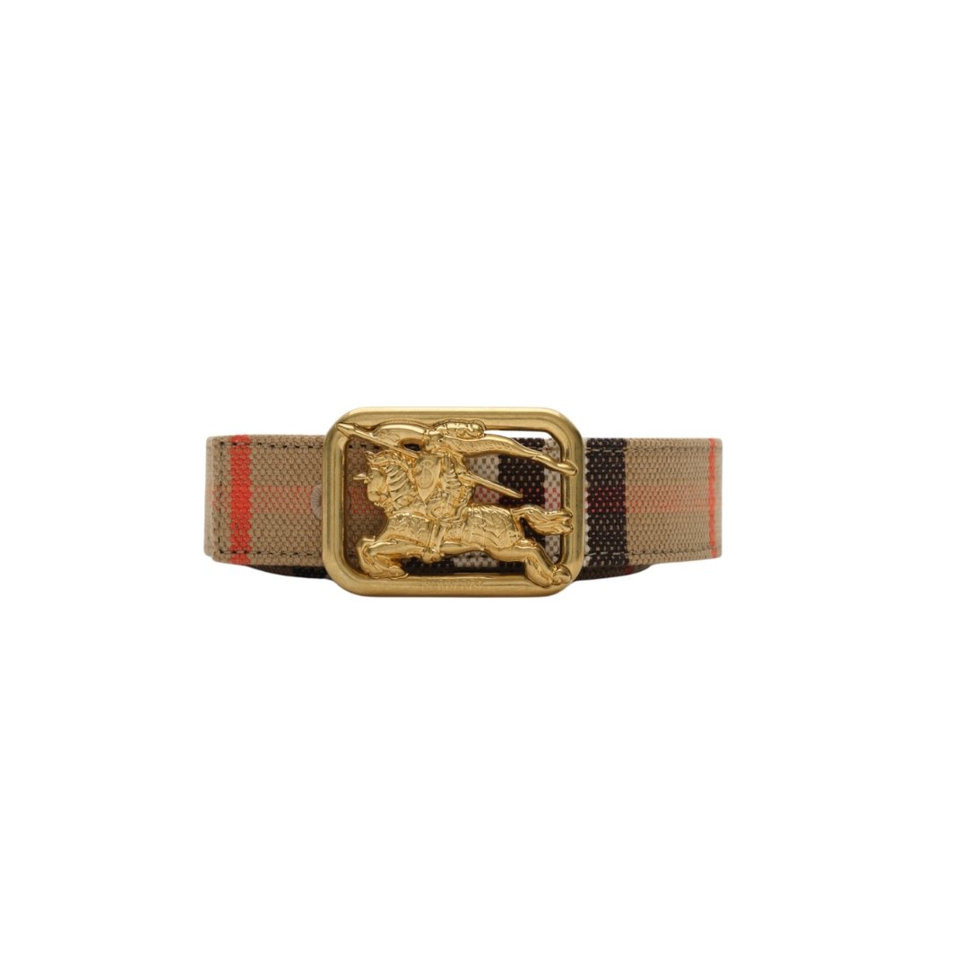 Wendbarer Sicherheitsgurt 2.5 cm