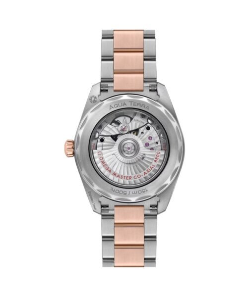 Alternative view of Seamaster Aqua Terra 150M