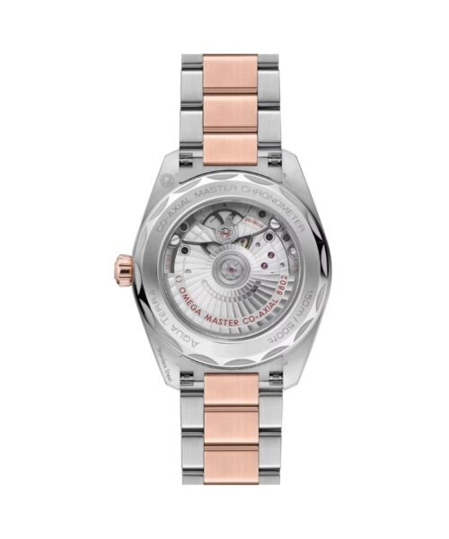 Alternative view of Seamaster Aqua Terra 150M