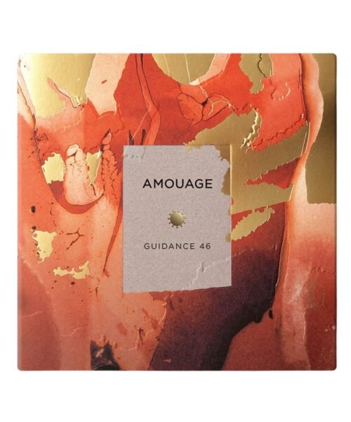 Alternative view of Guidance 46 (100Ml)