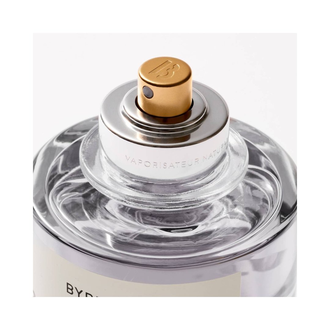 Blanche Absolu (100Ml) – Bild 3