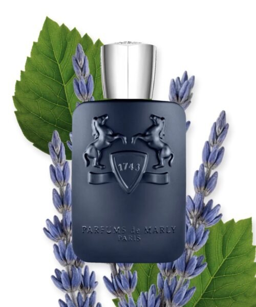 Alternative view of Layton (125Ml)