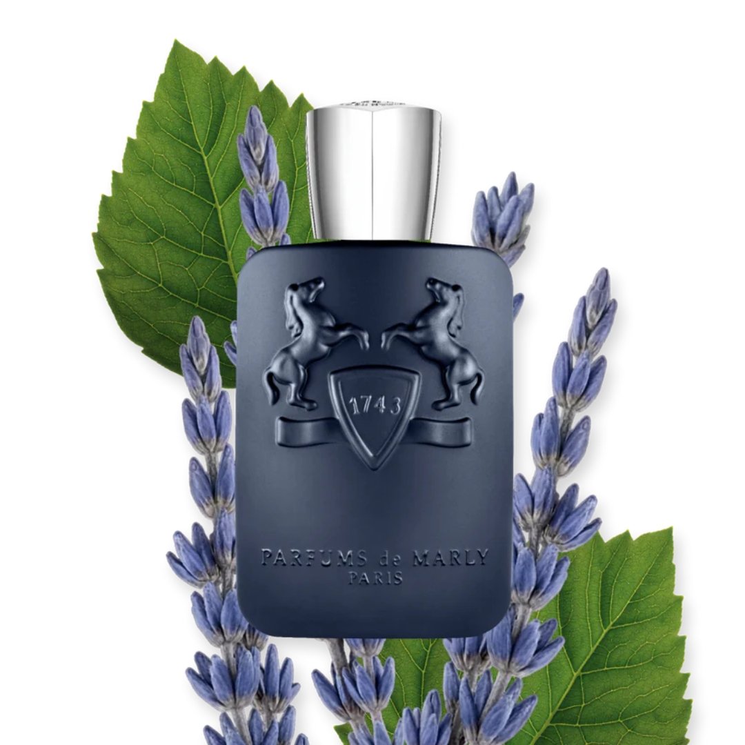 Layton (125Ml) – Bild 2