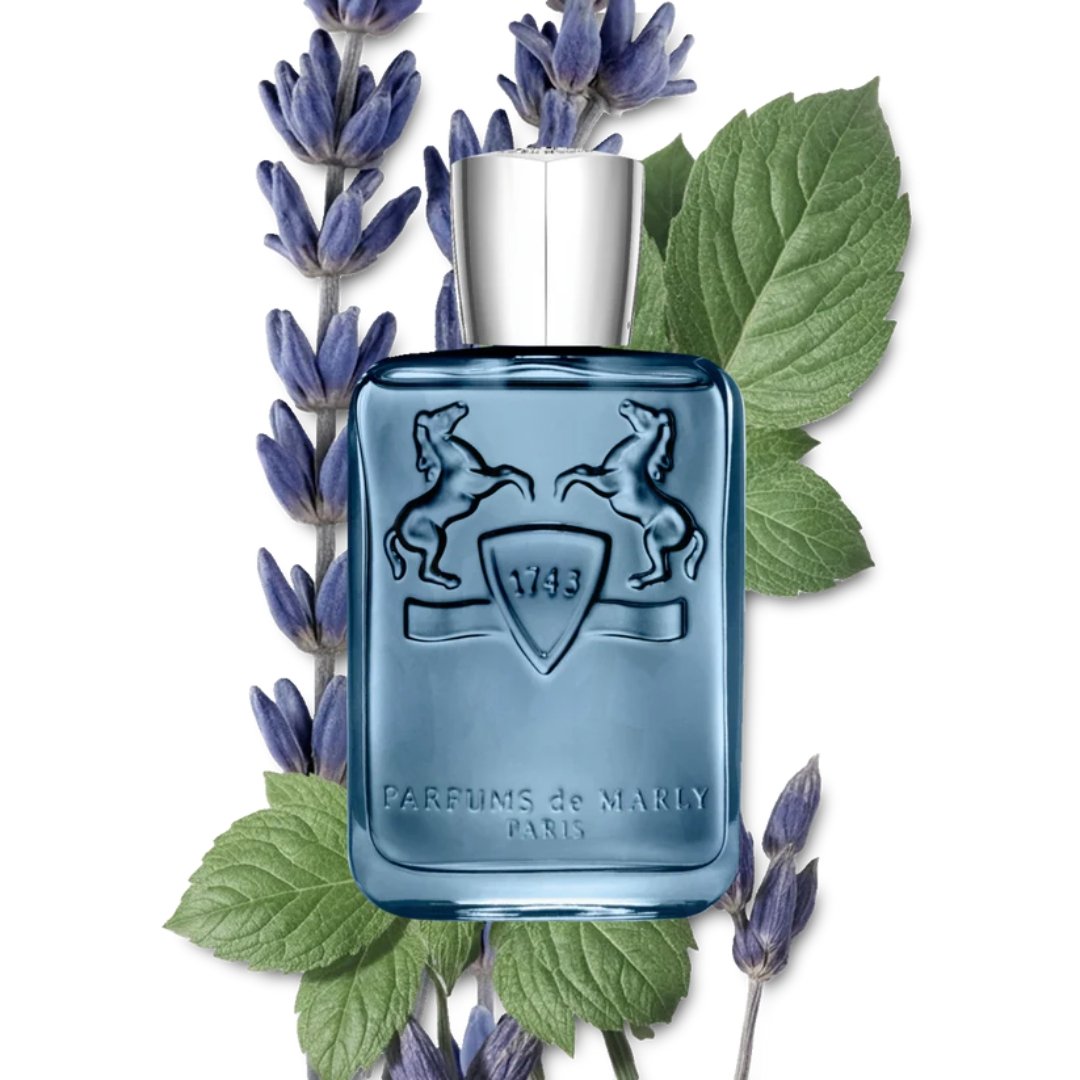 Sedley (125Ml) – Bild 2