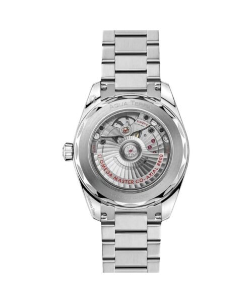 Alternative view of Seamaster Aqua Terra 150M