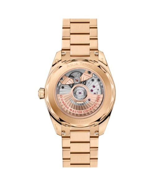 Alternative view of Seamaster Aqua Terra 150M
