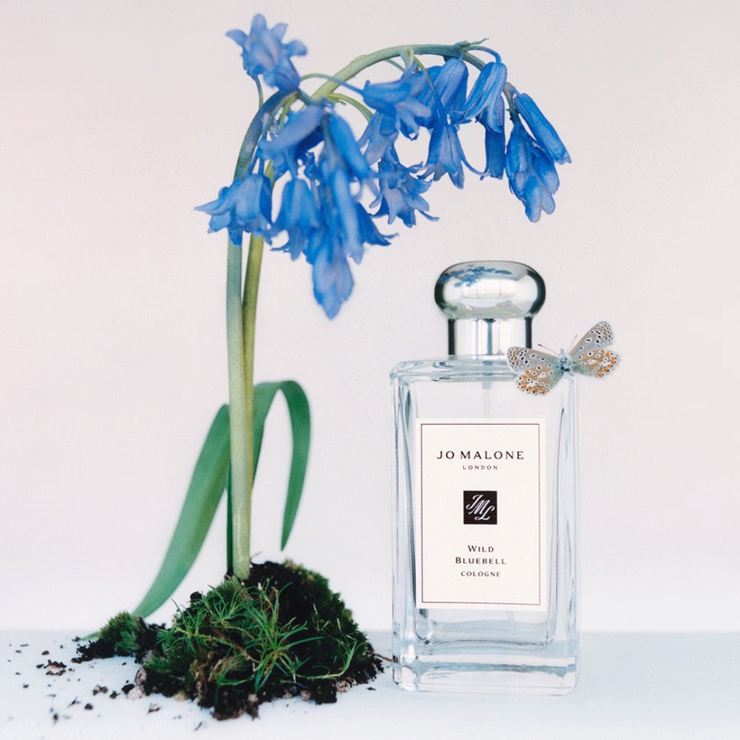 Wild Bluebell (100Ml) – Bild 3