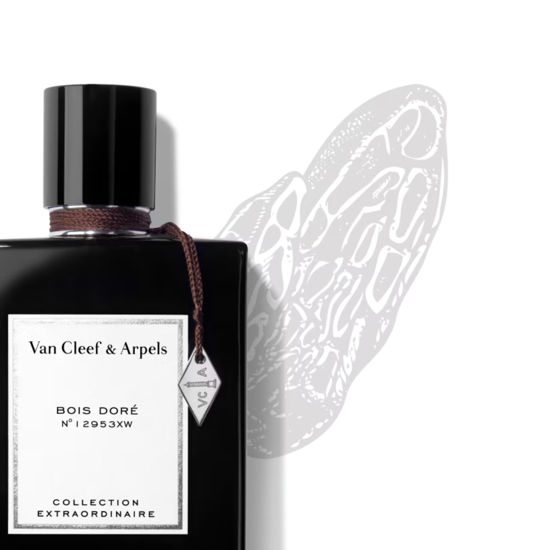 Bois Doré (75Ml) – Bild 3
