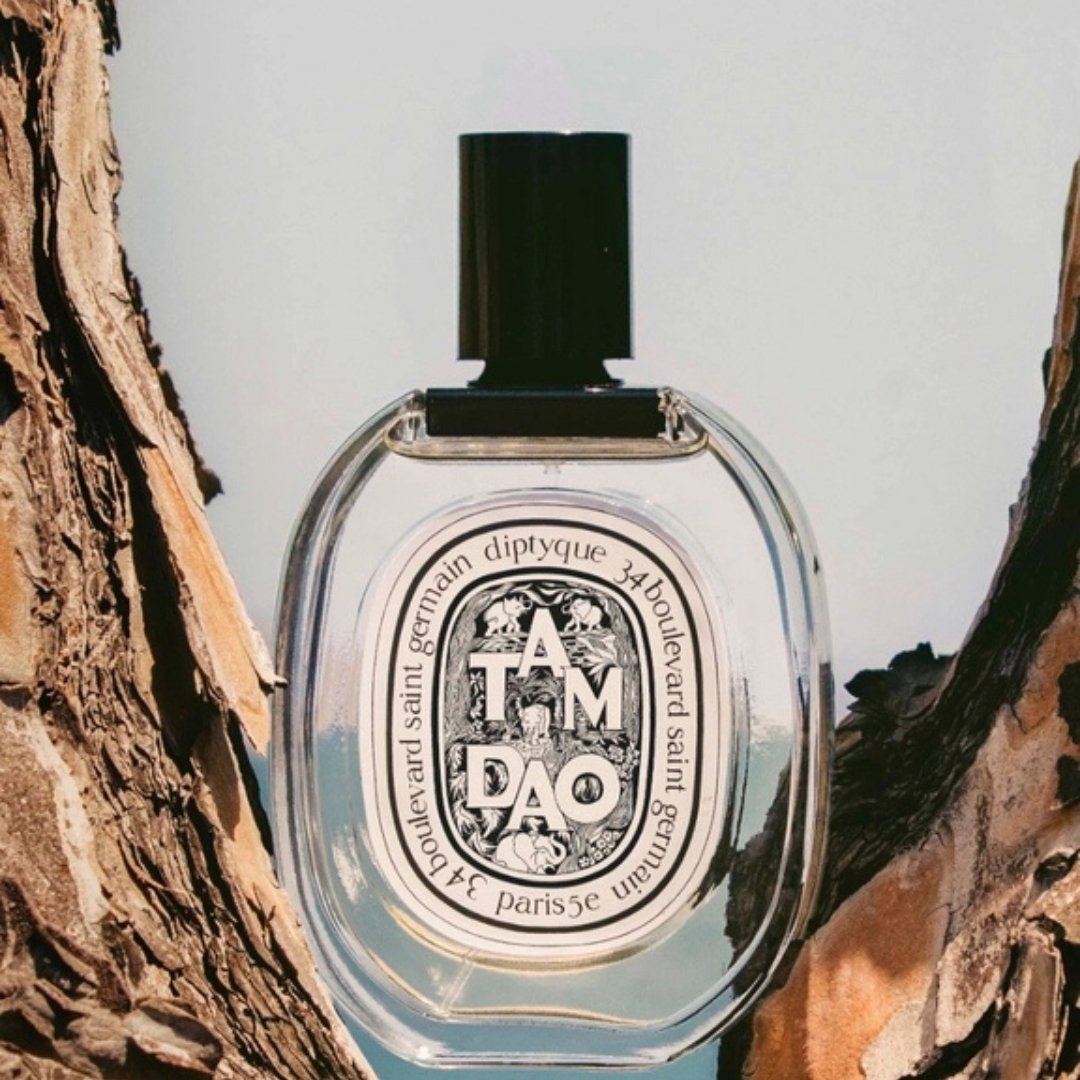 Tam Dao Edt (100Ml) – Bild 3