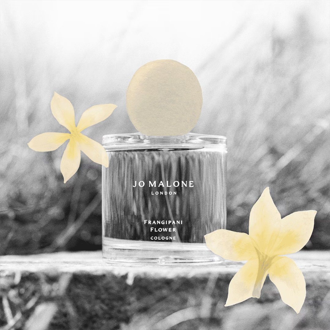 The Blossoms- Frangipani Flower (100Ml) – Bild 3